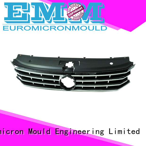 Euromicron Mould OEM ODM auto door molding source now for merchant