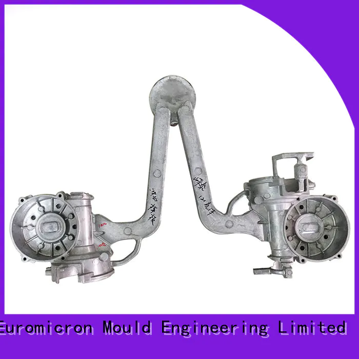 Euromicron Mould professional auto parts casting export worldwide for industry