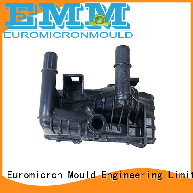 Euromicron Mould OEM ODM car door molding one-stop service supplier for trader