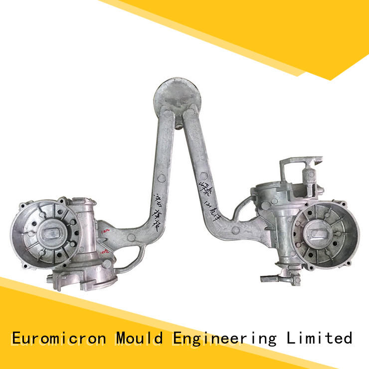 Euromicron Mould professional die cast auto export worldwide for industry