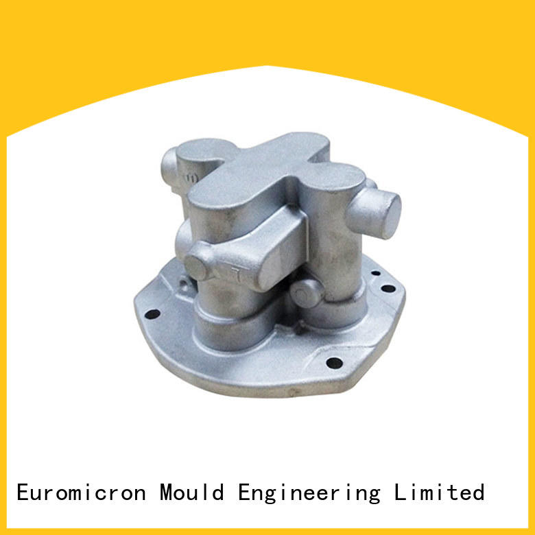 Euromicron Mould auto cast export worldwide for industry