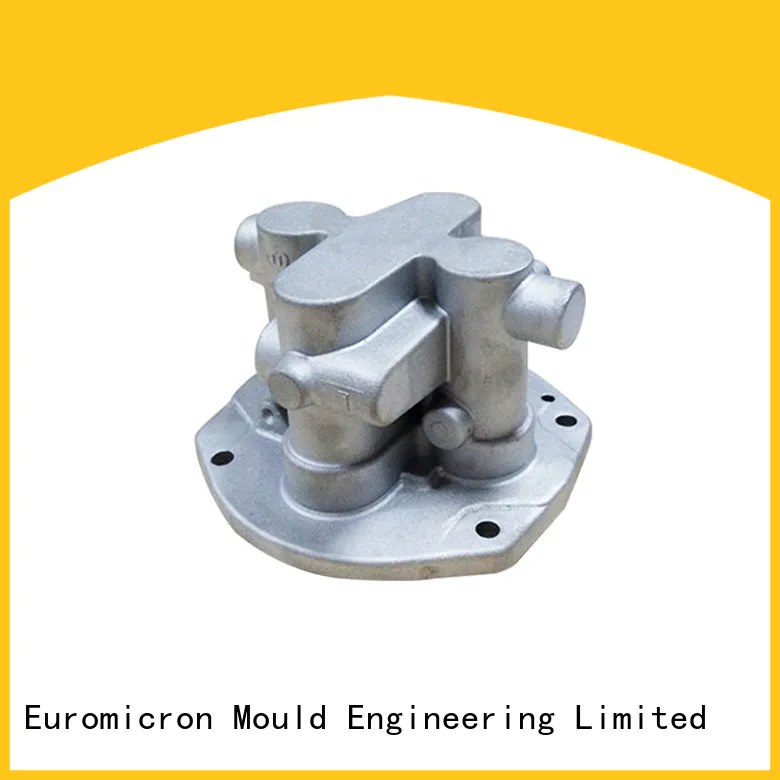 Euromicron Mould auto cast export worldwide for industry