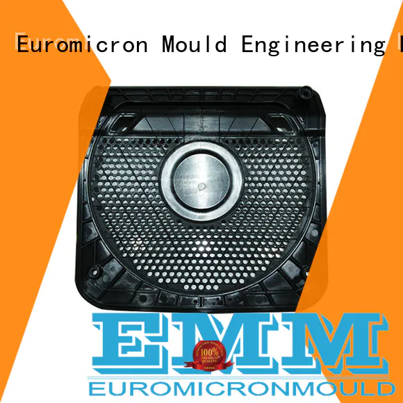 Euromicron Mould OEM ODM car door molding one-stop service supplier for merchant