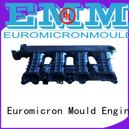 Euromicron Mould OEM ODM car moldings one-stop service supplier for trader