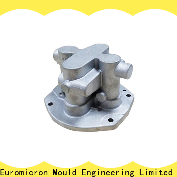 Euromicron Mould mold die cast auto innovative product for auto industry