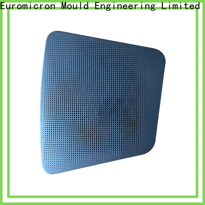 Euromicron Mould OEM ODM car moulding one-stop service supplier for merchant